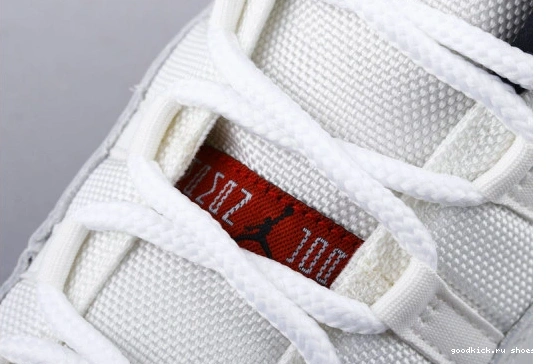 378038-016 Platinum Jordan (GS)  Retro Tint 378038-016 11 0515